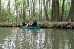 spreewald_2010_61_20100613_1854358113