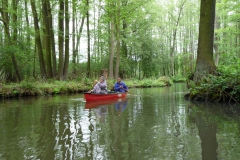 spreewald_2010_62_20100613_1927360002