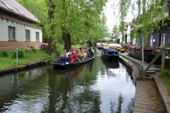 spreewald_2010_73_20100613_1396656884