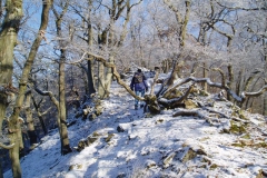 Winterwanderung 2009